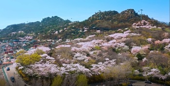 메인사진