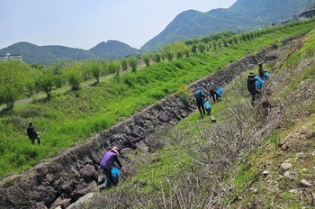 메인사진